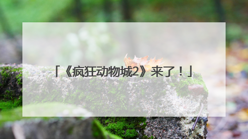 《疯狂动物城2》来了！