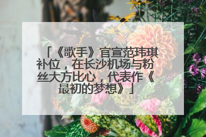 《歌手》官宣范玮琪补位，在长沙机场与粉丝大方比心，代表作《最初的梦想》