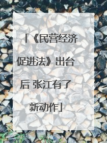 《民营经济促进法》出台后 张江有了新动作