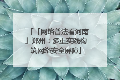「网络普法看河南」郑州：多重实践构筑网络安全屏障