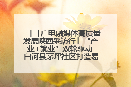 「广电融媒体高质量发展陕西采访行」“产业+就业”双轮驱动 白河县茅坪社区打造易地搬迁后扶新样本