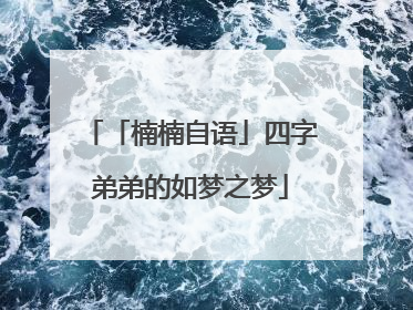 「楠楠自语」四字弟弟的如梦之梦