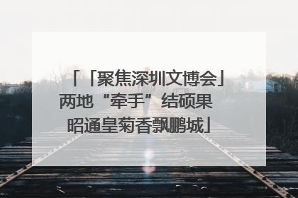 「聚焦深圳文博会」两地“牵手”结硕果 昭通皇菊香飘鹏城