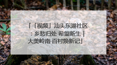 「视频」汕头东湖社区：乡愁归处 希望新生｜大美岭南·百村焕新记