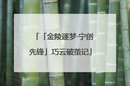 「金陵逐梦·宁创先锋」巧云破茧记