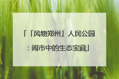 「风物郑州」人民公园：闹市中的生态宝藏