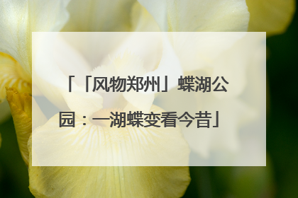 「风物郑州」蝶湖公园：一湖蝶变看今昔