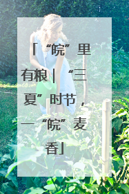 “皖”里有粮｜“三夏”时节，一“皖”麦香