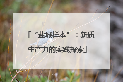 “盐城样本”：新质生产力的实践探索