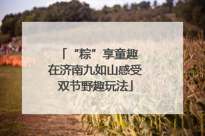 “粽”享童趣 在济南九如山感受双节野趣玩法