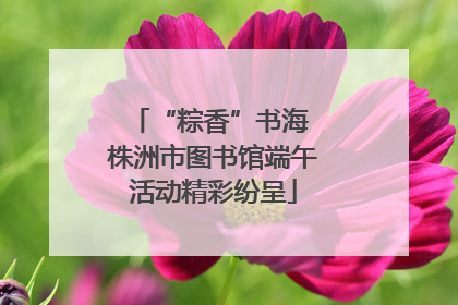 “粽香”书海 株洲市图书馆端午活动精彩纷呈