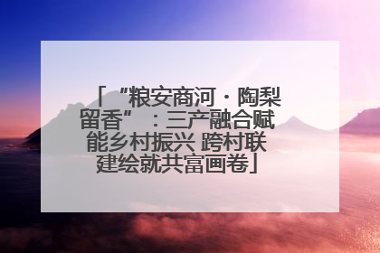 “粮安商河・陶梨留香”：三产融合赋能乡村振兴 跨村联建绘就共富画卷