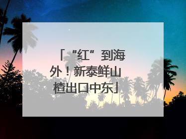 “红”到海外！新泰鲜山楂出口中东