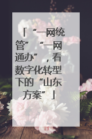 “一网统管”“一网通办”，看数字化转型下的“山东方案”