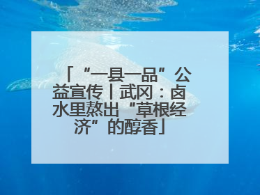 “一县一品”公益宣传丨武冈：卤水里熬出“草根经济”的醇香