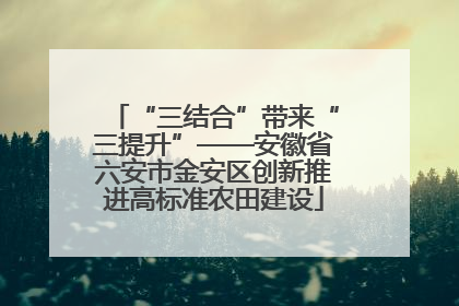 “三结合”带来“三提升”——安徽省六安市金安区创新推进高标准农田建设