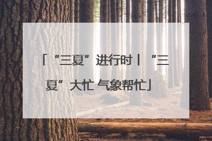 “三夏”进行时丨“三夏”大忙 气象帮忙