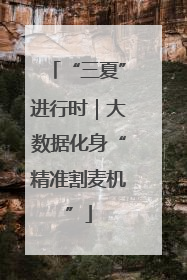 “三夏”进行时｜大数据化身“精准割麦机”