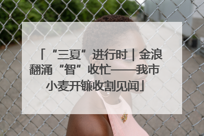 “三夏”进行时｜金浪翻涌“智”收忙——我市小麦开镰收割见闻