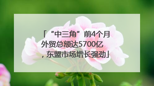 “中三角”前4个月外贸总额达5700亿，东盟市场增长强劲