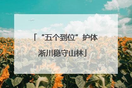 “五个到位”护体 淅川稳守山林