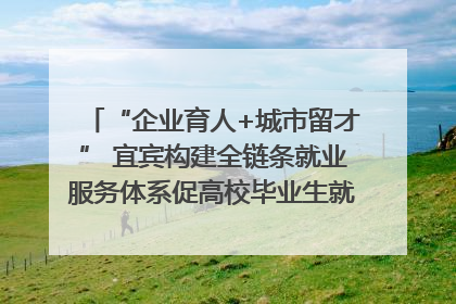 “企业育人+城市留才” 宜宾构建全链条就业服务体系促高校毕业生就业｜您牵挂的四川