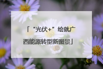 “光伏+”绘就广西能源转型新图景