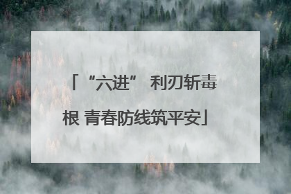 “六进” 利刃斩毒根 青春防线筑平安