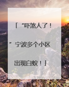 “吓煞人了！”宁波多个小区出现白蚁！