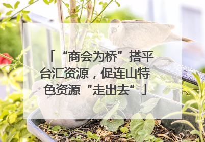“商会为桥”搭平台汇资源，促连山特色资源“走出去”