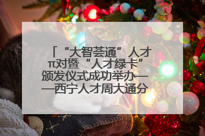 “大智荟通”人才π对暨“人才绿卡”颁发仪式成功举办——西宁人才周大通分会场亮点纷呈