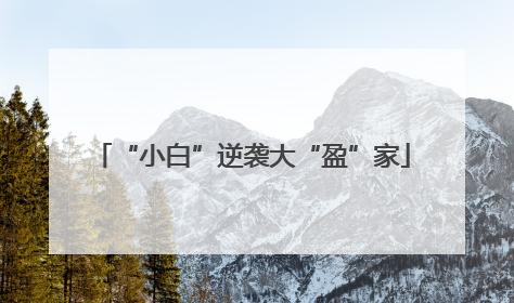 “小白”逆袭大“盈”家