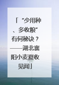 “少用种、多收粮”有何秘诀？——湖北襄阳小麦夏收见闻