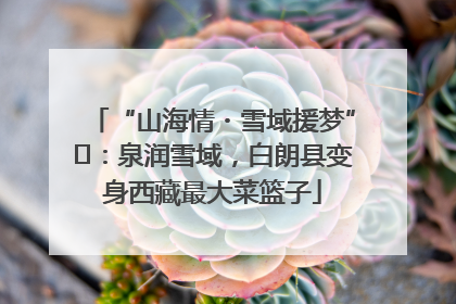 “山海情・雪域援梦”⑪：泉润雪域，白朗县变身西藏最大菜篮子