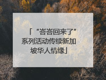 “峇峇回来了”系列活动传续新加坡华人情缘