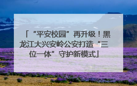 “平安校园”再升级！黑龙江大兴安岭公安打造“三位一体”守护新模式