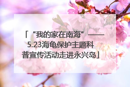 “我的家在南海”——5.23海龟保护主题科普宣传活动走进永兴岛