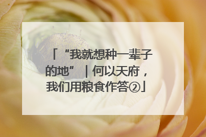 “我就想种一辈子的地”｜何以天府，我们用粮食作答②