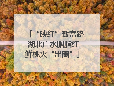 “映红”致富路 湖北广水胭脂红鲜桃火“出圈”