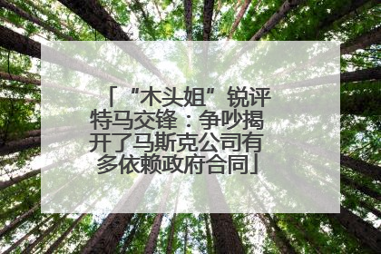 “木头姐”锐评特马交锋：争吵揭开了马斯克公司有多依赖政府合同