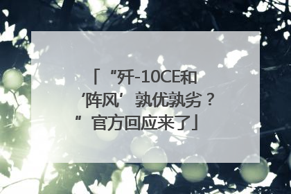 “歼-10CE和‘阵风’孰优孰劣？”官方回应来了