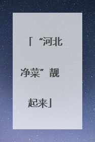 “河北净菜”靓起来
