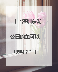“深圳东湖公园的鱼可以吃吗？”