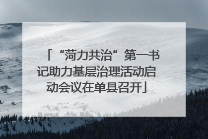 “菏力共治”第一书记助力基层治理活动启动会议在单县召开