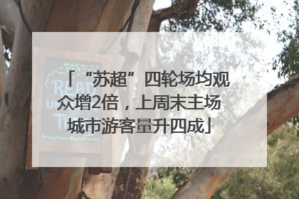 “苏超”四轮场均观众增2倍，上周末主场城市游客量升四成
