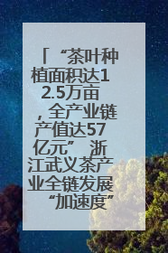 “茶叶种植面积达12.5万亩，全产业链产值达57亿元” 浙江武义茶产业全链发展“加速度”