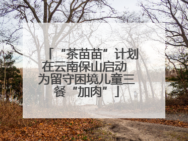 “茶苗苗”计划在云南保山启动 为留守困境儿童三餐“加肉”
