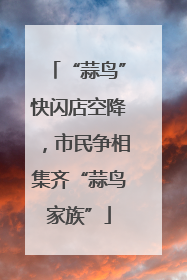 “蒜鸟”快闪店空降，市民争相集齐“蒜鸟家族”