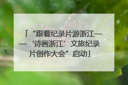 “跟着纪录片游浙江——‘诗画浙江’文旅纪录片创作大会”启动