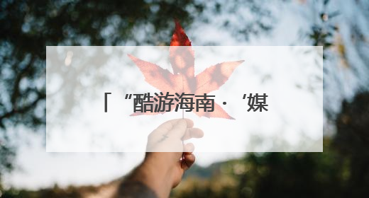 “酷游海南 ·‘媒’好相约”2025百家媒体海南行三亚旅游推介活动启动